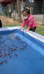 -萌宠亲子动物乐园(槐房万达店)