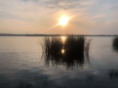 -丁香湖公园