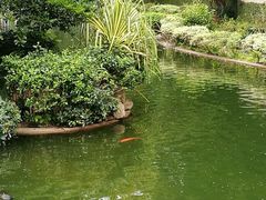 -九龙公园