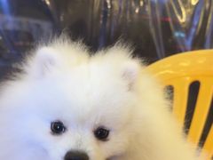 -吉源大排档·鱼生·海鲜(烧烤彩印厂店)