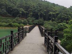 -九龙潭景区
