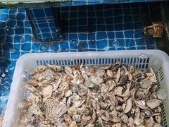 -和源祥·日照菜扛把子(万平口一店)