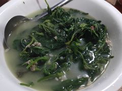 -东鸽皇(奥园·中环广场店)
