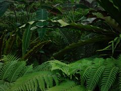 -国家植物园南园