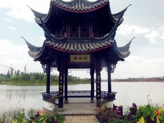 -杭州湾海上花田景区