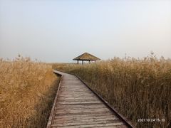 -西青郊野公园