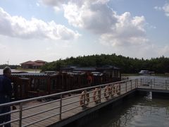 游船码头-上海海湾国家森林公园