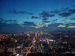 -瑞吉酒店·The Drawing Room闲逸廊·云端下午茶·夜奢Whiskey