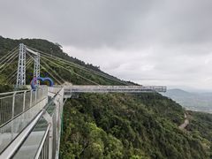 -呀诺达热带雨林
