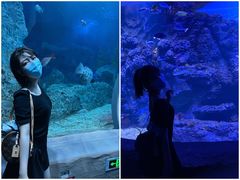 -芜湖新华联大白鲸海洋公园