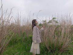 -雪绿茶博物馆