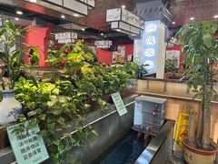 -洞庭家宴·头牌甲鱼(广渠门店)