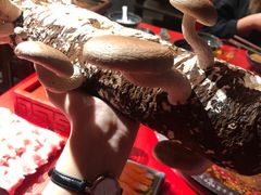 -谭鸭血老火锅(漳州路店)