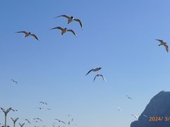 -滇池海埂公园