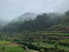 -百杖潭景区