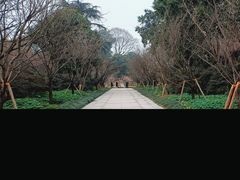 -南山植物园