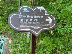 -汤旺河林海奇石景区