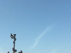 -大明宫国家遗址公园·御道广场