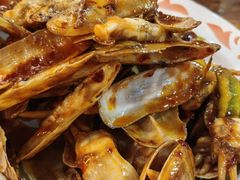 葱姜炒蛏子-老姑砂锅·烧烤天津菜(体北道店)