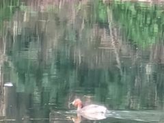 -贵阳市花溪国家城市湿地公园