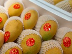 -小团圆糖水铺(襄阳南路店)