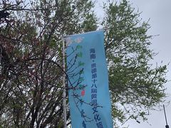 -梨苑林卡金陵山水酒店