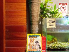 -谷咖啡·鲜花绿植花园餐厅
