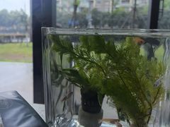 -半岛宠物医院24小时·内窥镜·牙科·碎石中心(府城大道店)