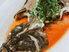 清蒸鲈鱼-同庆楼(奥体中心店)