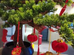 -马家斑.鲜鱼火锅(松湖万科店)