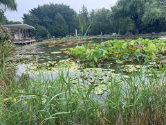 -国家植物园南园