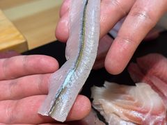 -镹·鱼料理  国产鱼使用店