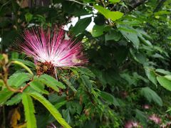 -优游吧斯邹族文化部落