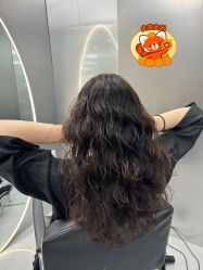 -5M HAIR SALON 旗舰店