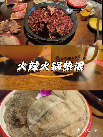 #0元玩转这座城完美！食材新鲜，很甸