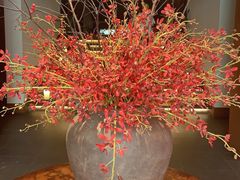 -瑶王府·广西菜(金阳路店)