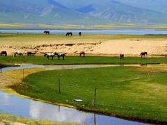 -青海湖国家重点风景名胜区