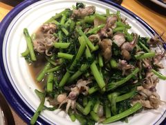 苘蒿比管-77号渔船·蒸海鲜青岛菜(积米崖店)