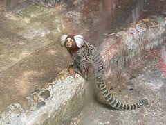 -上海大自然野生昆虫馆(东方明珠·爬宠昆虫探索中心)