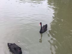 -长兴太湖图影湿地文化园
