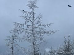 -鳌山滑雪度假区