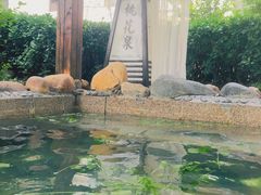 -国御温泉度假小镇