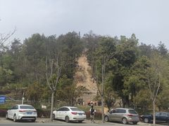 -青龙山国家森林公园