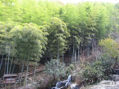 -藏龙百瀑风景区