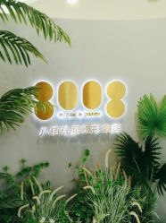 -八佰伴8008星级形象店