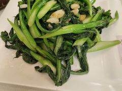 -津津菜馆(绝没分店)