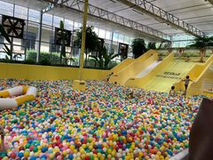 -南宫五洲植物乐园