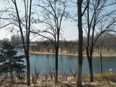 -大兴滨河森林公园