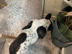 -小时光咖啡馆(北锣鼓巷店)