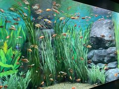 -上海海洋水族馆